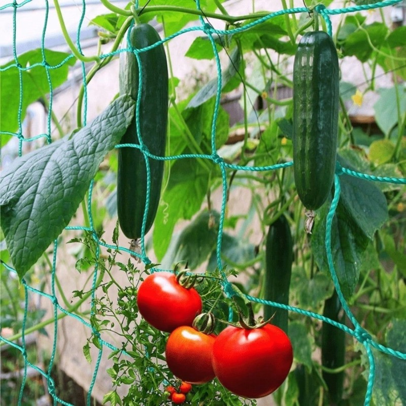 Plant Support Trellis Netting Climbing - Durable Plant Support-2.7X1.8M Garden Trellis Netting