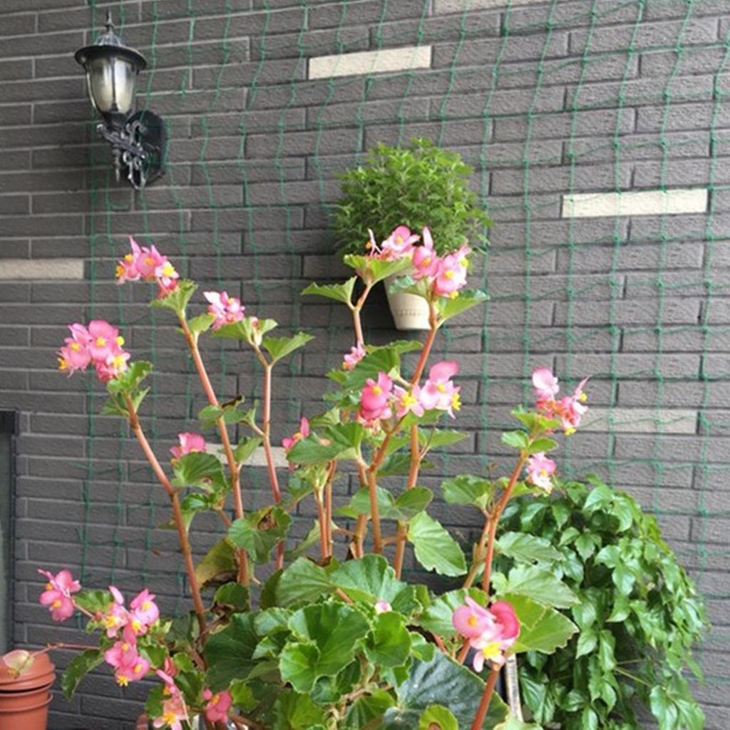 Plant Support Trellis Netting Climbing - Nylon Trellis Netting Climbing Plant Support